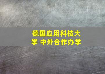 德国应用科技大学 中外合作办学